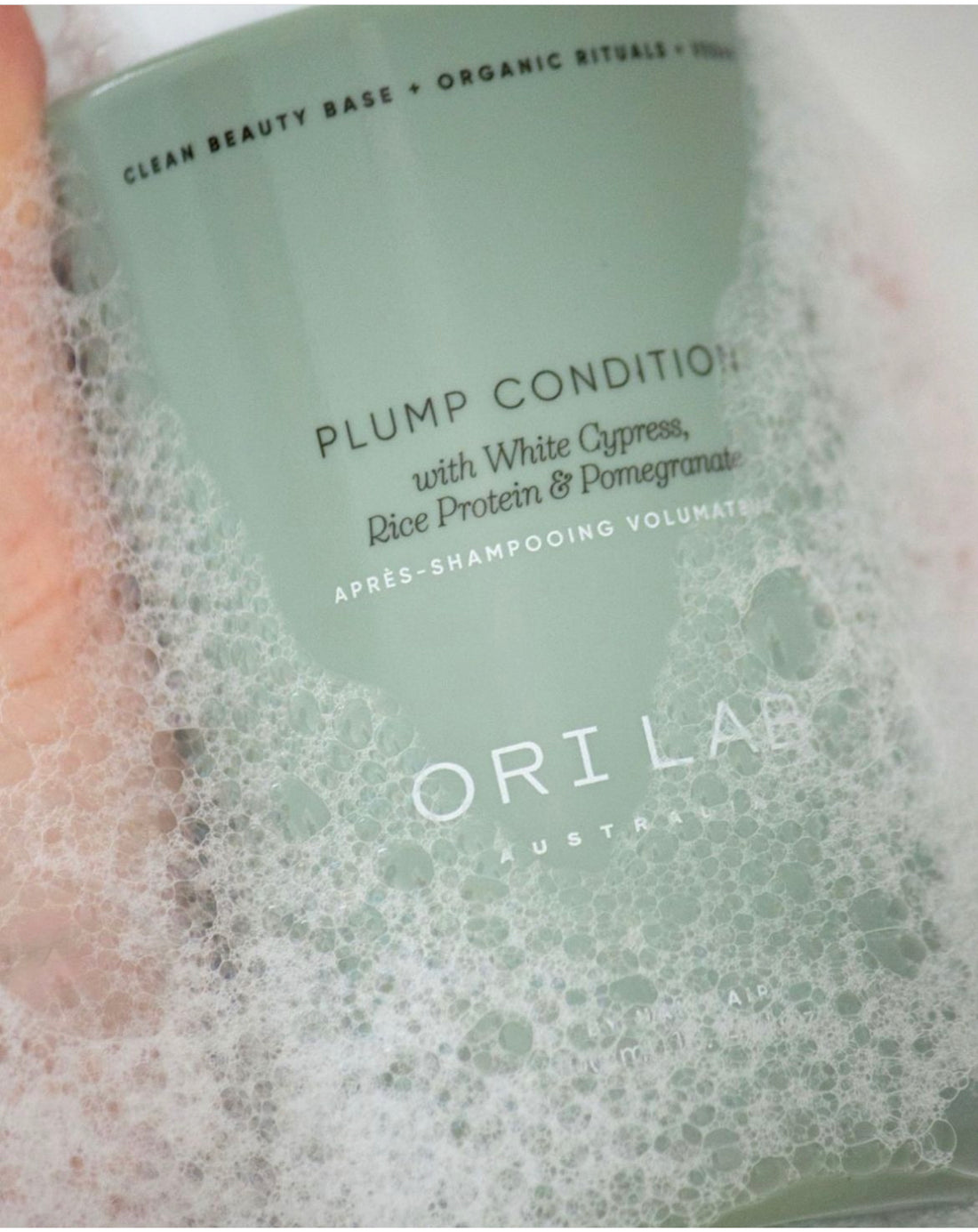Ori lab PLUMP condition