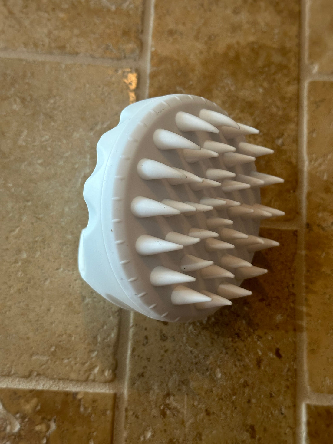 Shampoo brush